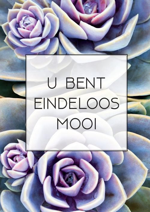 Poster A4 'U bent eindeloos mooi' - MA33537 -  Posters A4 bij MajesticAlly