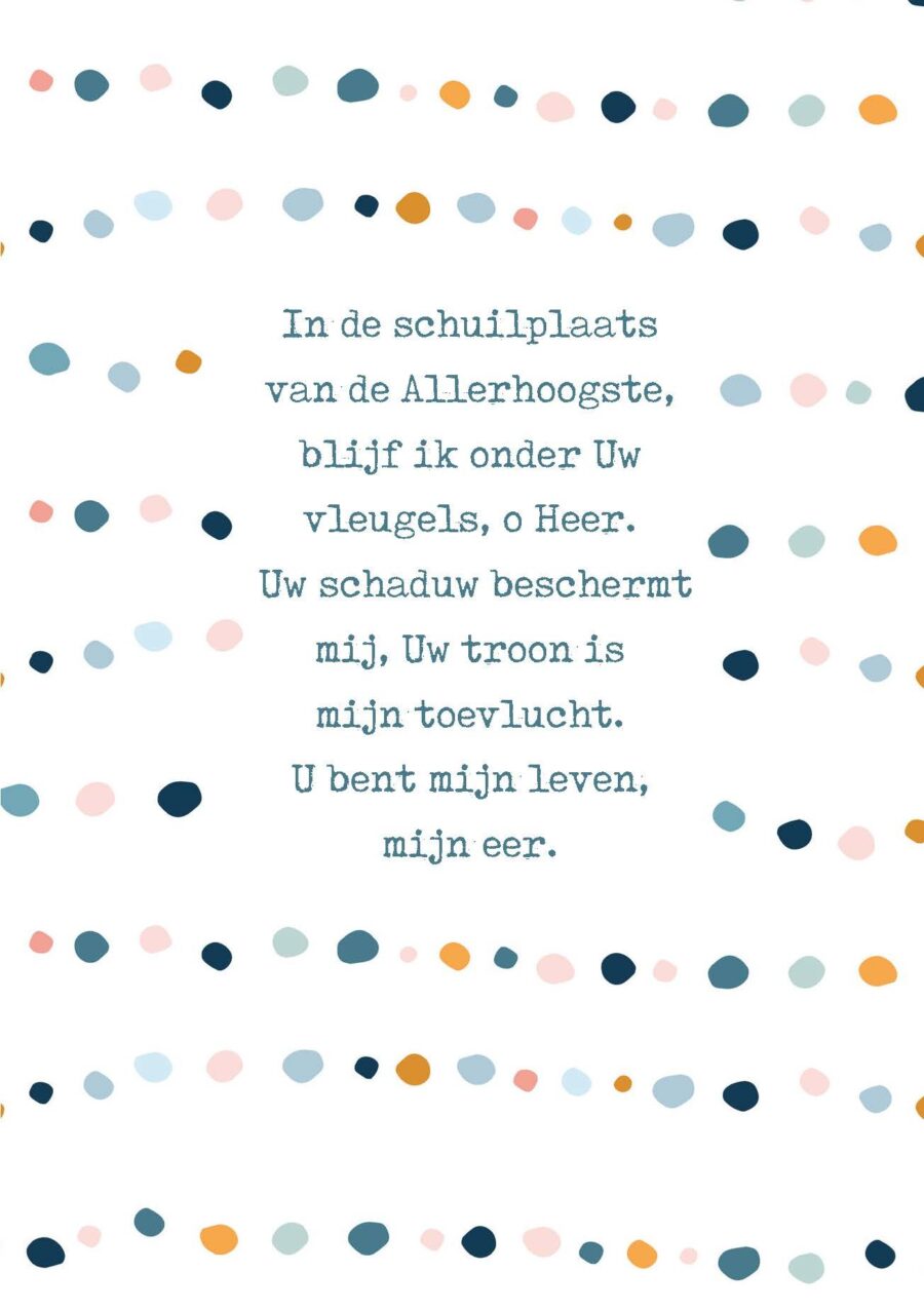 Poster A4 In de schuilplaats - Opwekking 502 - 552651P - Posters bij MajesticAlly