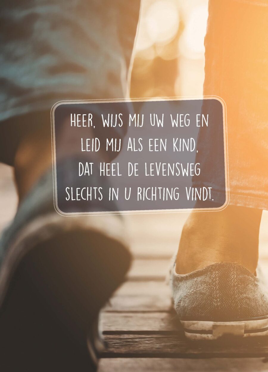 Poster A4 Heer wijs mij Uw weg - Opwekking 687 - 552669P - Posters bij MajesticAlly