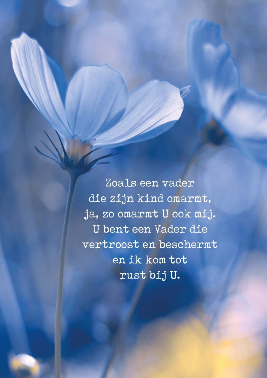 Poster A4 Zoals een Vader - Opwekking 462 - 552671P - Posters bij MajesticAlly