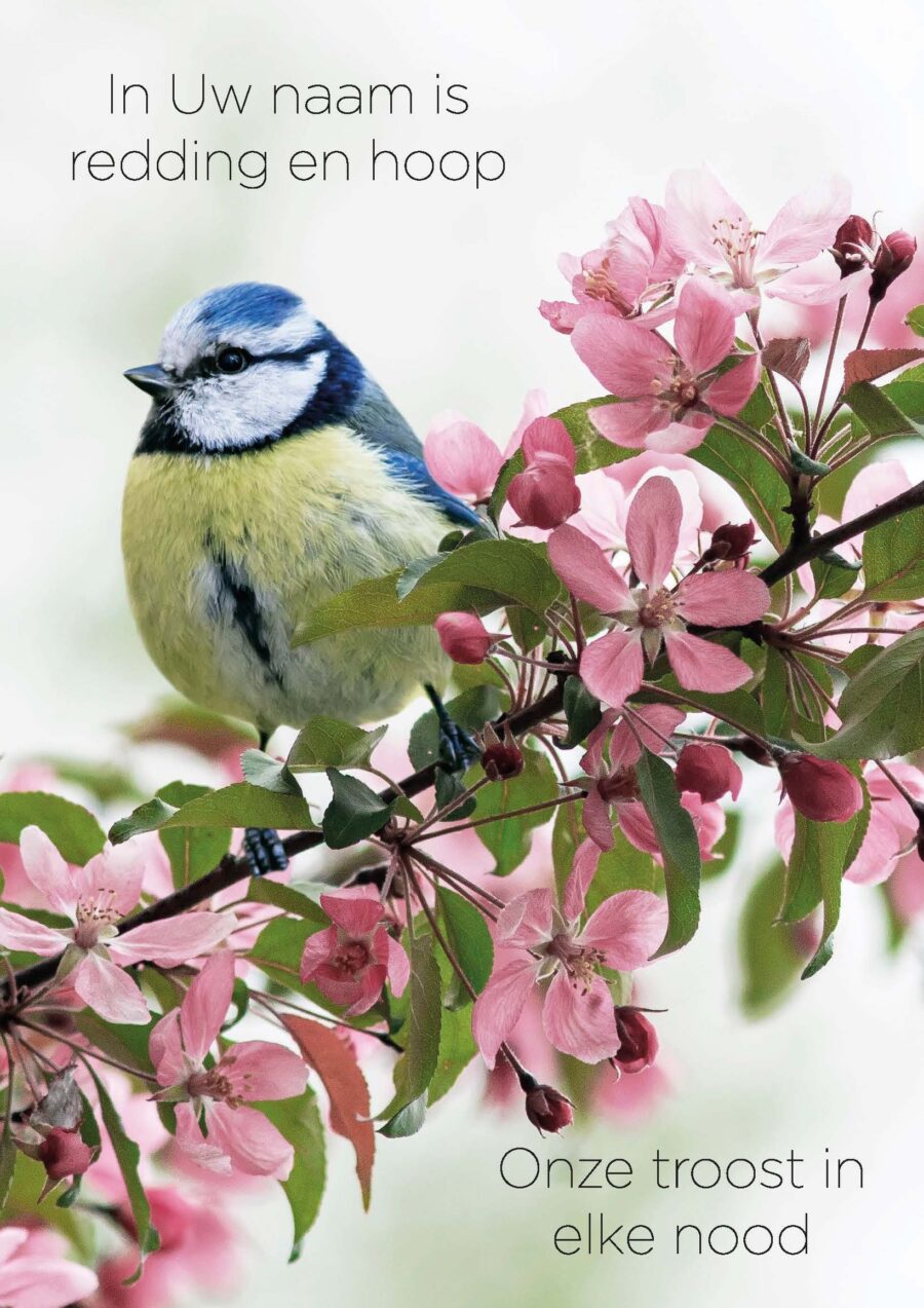 Poster A4 In Uw naam in redding en hoop - Opwekking 658 - 552686P - Posters bij MajesticAlly