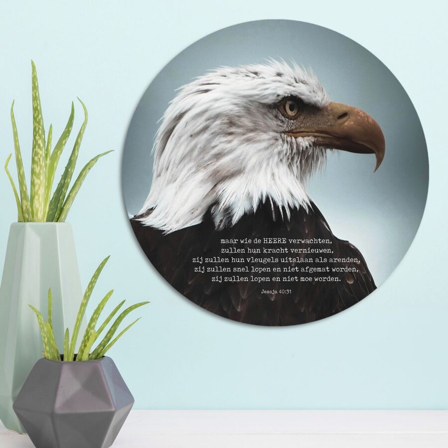 Muurcirkel 'Arend' - 30 cm - MA39201 - Wanddeco bij MajesticAlly