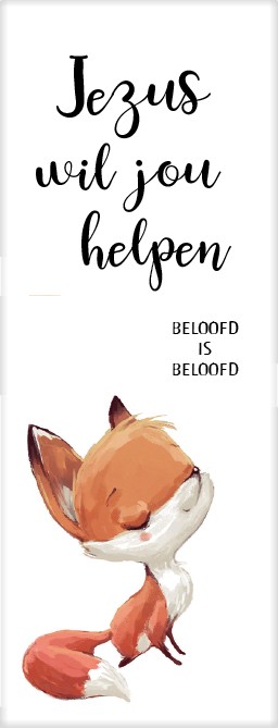 Boekenlegger vosje beloofd is beloofd - MA25205 - Boekenleggers bij MajesticAlly