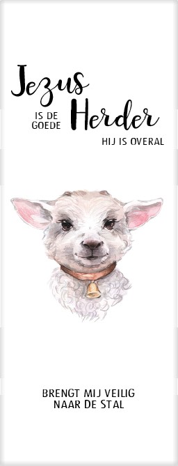 Boekenleggers kinderserie en bemoediging - MA25250 - Voordeelpakjes bij MajesticAlly