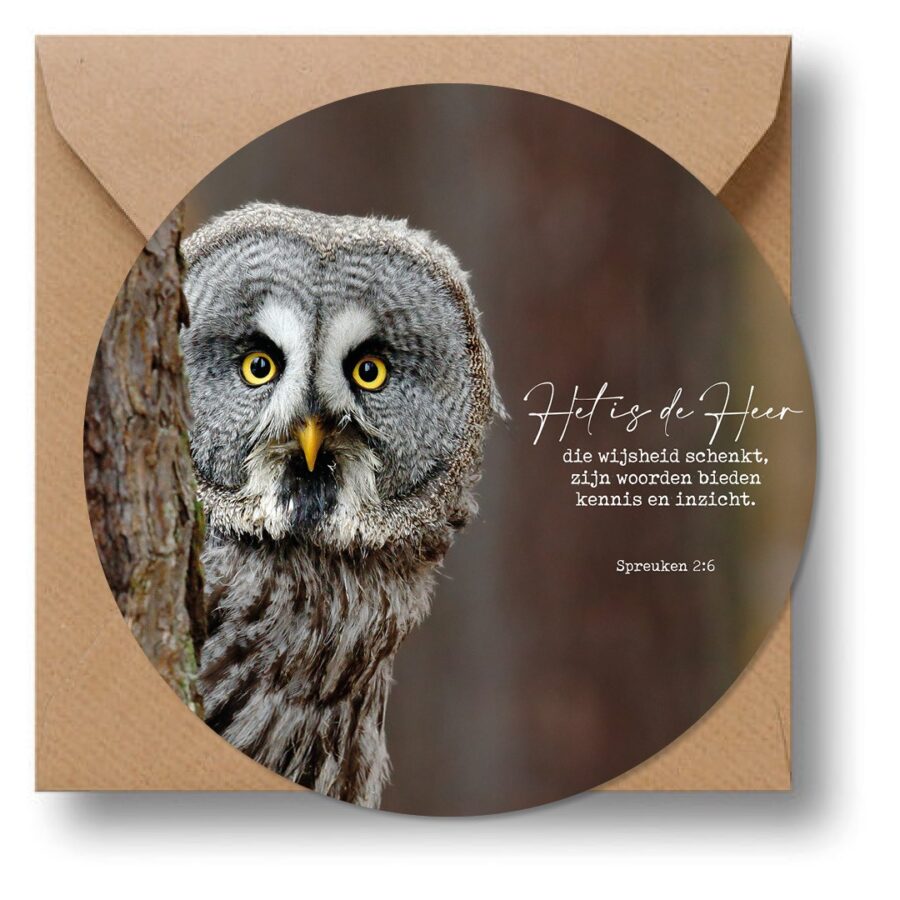 Cirkelcadeau 'Uil' - MA39622 - Cadeauborden bij MajesticAlly
