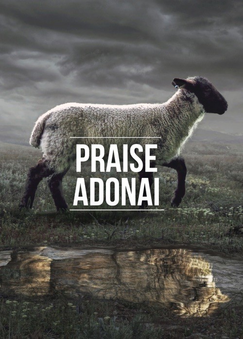 Poster 50x70 Praise Adonai - MA48409 -  Posters XL  bij MajesticAlly